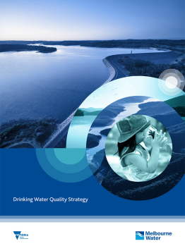 Drinking Water Quality Strategy report cover