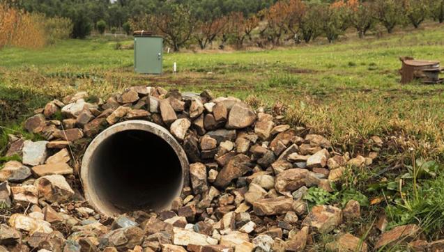 Cross-section of pipe running underneath orchard