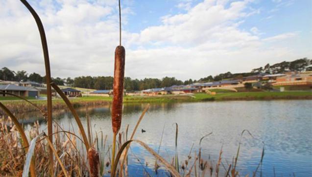Constructed wetland near a new development