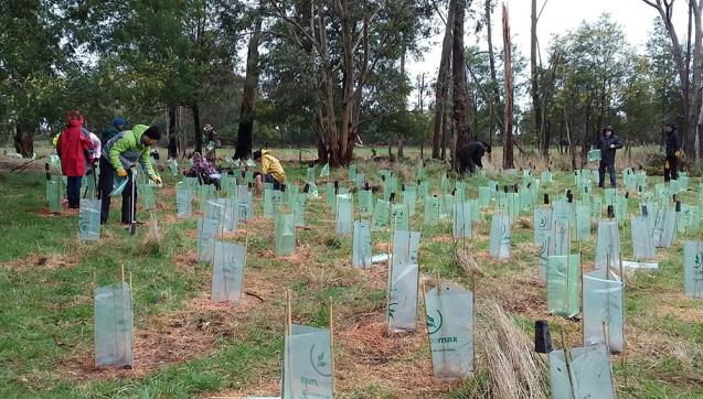 Community members weeding and tree planting