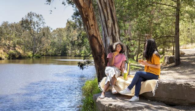 People having picnic at Dights Falls.