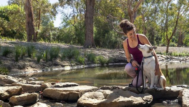 Woman in exercise gear kneels next to her dog on a path across a creek