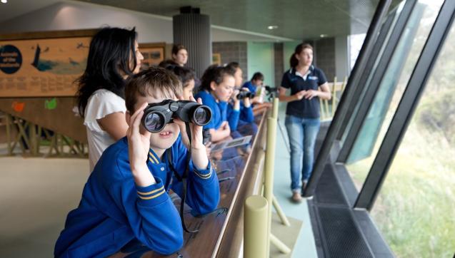 Child with binoculars looks out a window into the wetlands.
