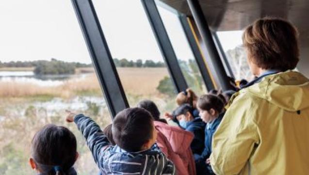 A group of children are looking out the bay windows into the Edithvale Wetlands