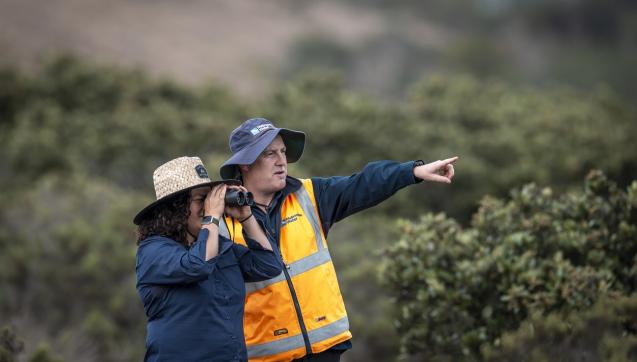 Two people looking over in the wetlands