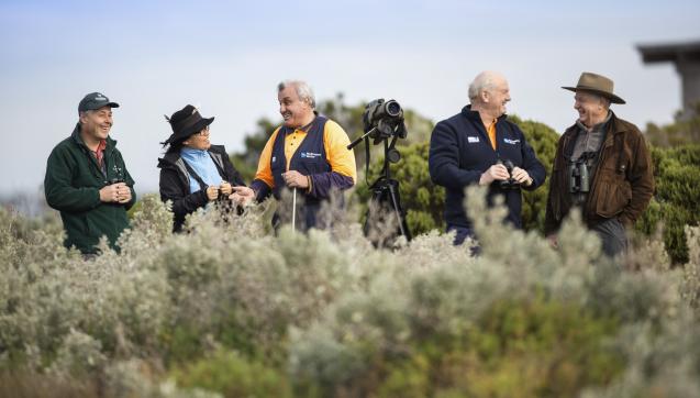 Collection of people standing behind bushes with cameras looking for birds