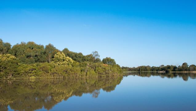 Waterway and bushland