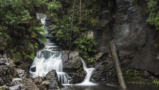 Water cascading in lush greenery