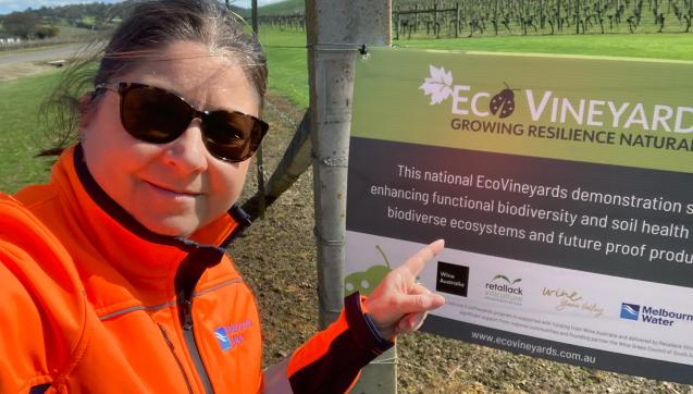 Sustainable Agriculture Facilitator Karen Thomas, at the De Bortoli vineyard as part of the EcoVineyards project