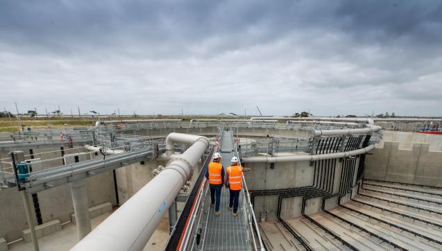WTP NRP Employees standing on maintenance platform in tank