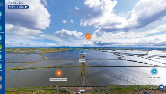 Panorama of wetlands at the Western Treatment Plant, accessible via the virtual tour