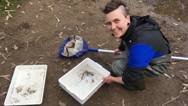 Doctor Teresa Mackintosh conducting waterbug sampling