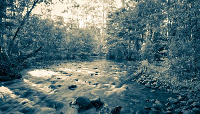 Watts River upstream