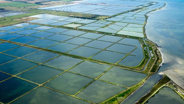 Western Treatment Plant lagoons