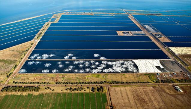 Aerial view of sewage treatment lagoons at the Western Treatment Plant