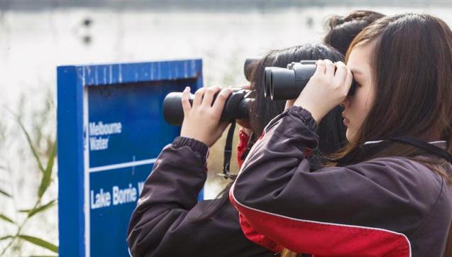 Group of students with binoculars looking at the Western Treatment Plant's Lake Borrie wetland