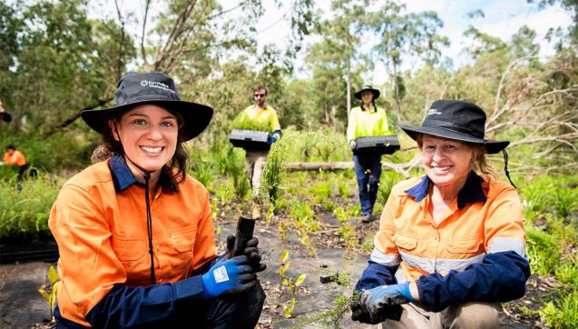 Four PPWCMA employees undertake planting at the Yellingbo Nature Conservation Reserve