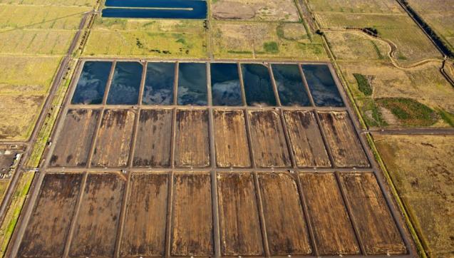 Large, open areas of land drying biosolids