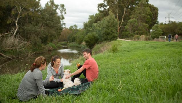 Three adults and dog enjoying picnic by Merri Creek