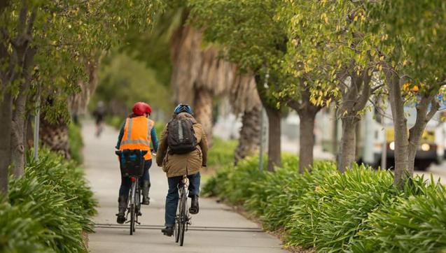 Residents cycling down a tree-lined path