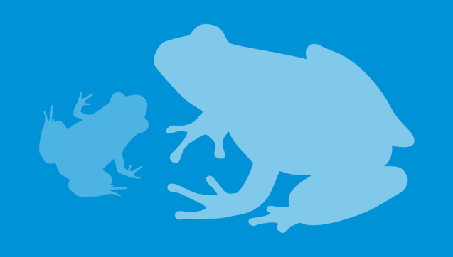 Frog silhouettes illustration