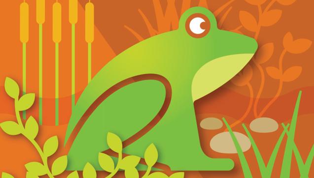 Illustration of a green frog against an orange background