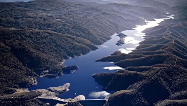 Aerial of Thomson Reservoir with the dam in the foreground, surrounded by forested catchment