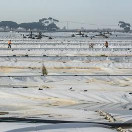 Floating pokymer covers at the Western Treatment Plant