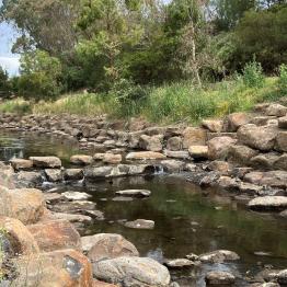 Moonee Ponds Creek with stepping stones