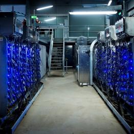 Glowing blue lights at the UV disinfection plant