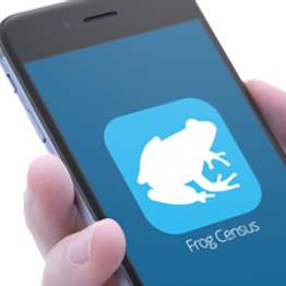 Hand holding a smartphone with the Frog Census app icon on screen