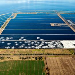 Aerial view of sewage treatment lagoons at the Western Treatment Plant