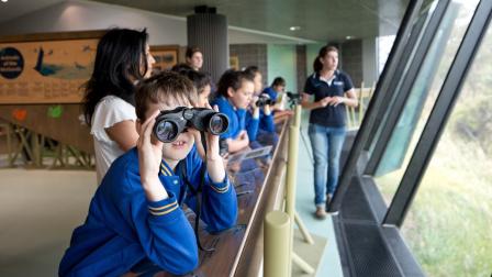 Child with binoculars looks out a window into the wetlands.