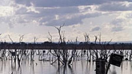 mw00142-WTPLakeBorrie.jpg Thumbnail