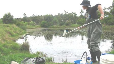 Waterwatch community volunteer